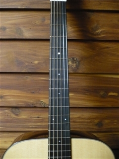 D1 Guitar